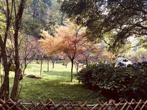 m1522251640533028.png DDCC78A9F612CFA26A58FDFF45942E08.png